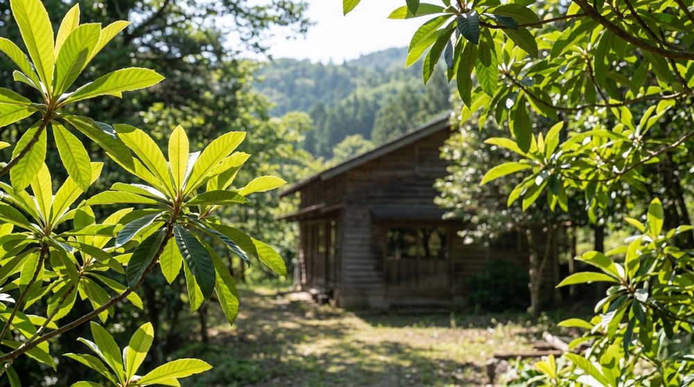 民間療法を取り入れた癒やし！「休暇村 指宿（いぶすき）」